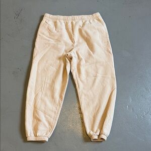 Aritzia Mega Fit Sweatfleece Cozy Fleece Cream Joggers